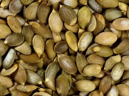 pumpkin seeds plain