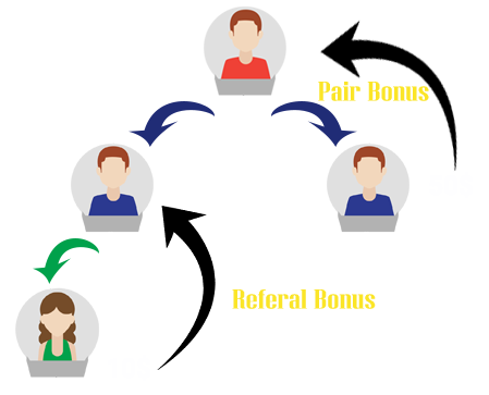 Multiple Currencies